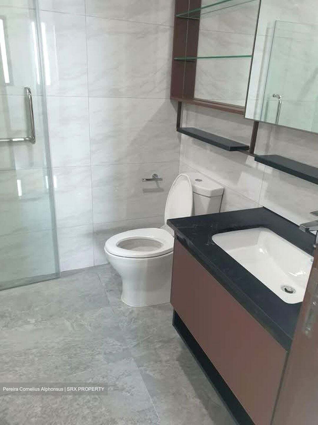Normanton Park (D5), Apartment #537791661